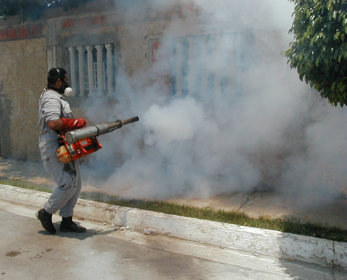 Carrizal inició fumigación con todos los hierros