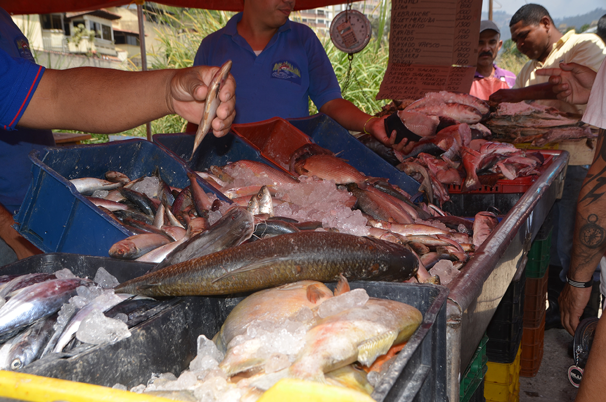 Venta de pescado cayó 50% por ausencia de ofertas