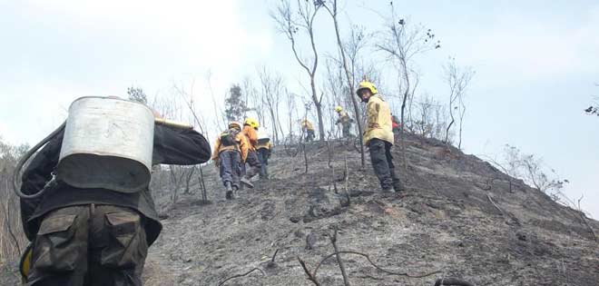 Persisten labores para  apagar incendio en Macarao