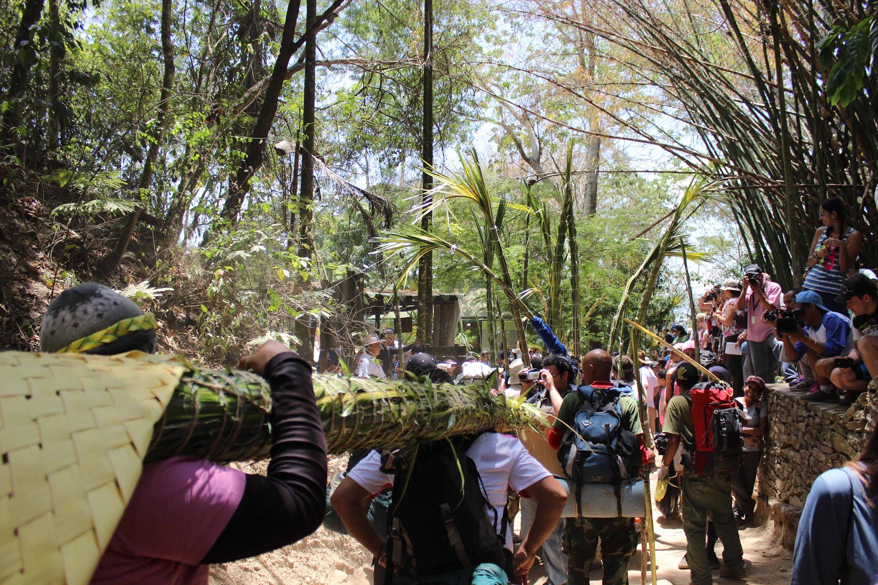 Turismo Miranda dirá presente durante bajada de los Palmeros de Chacao