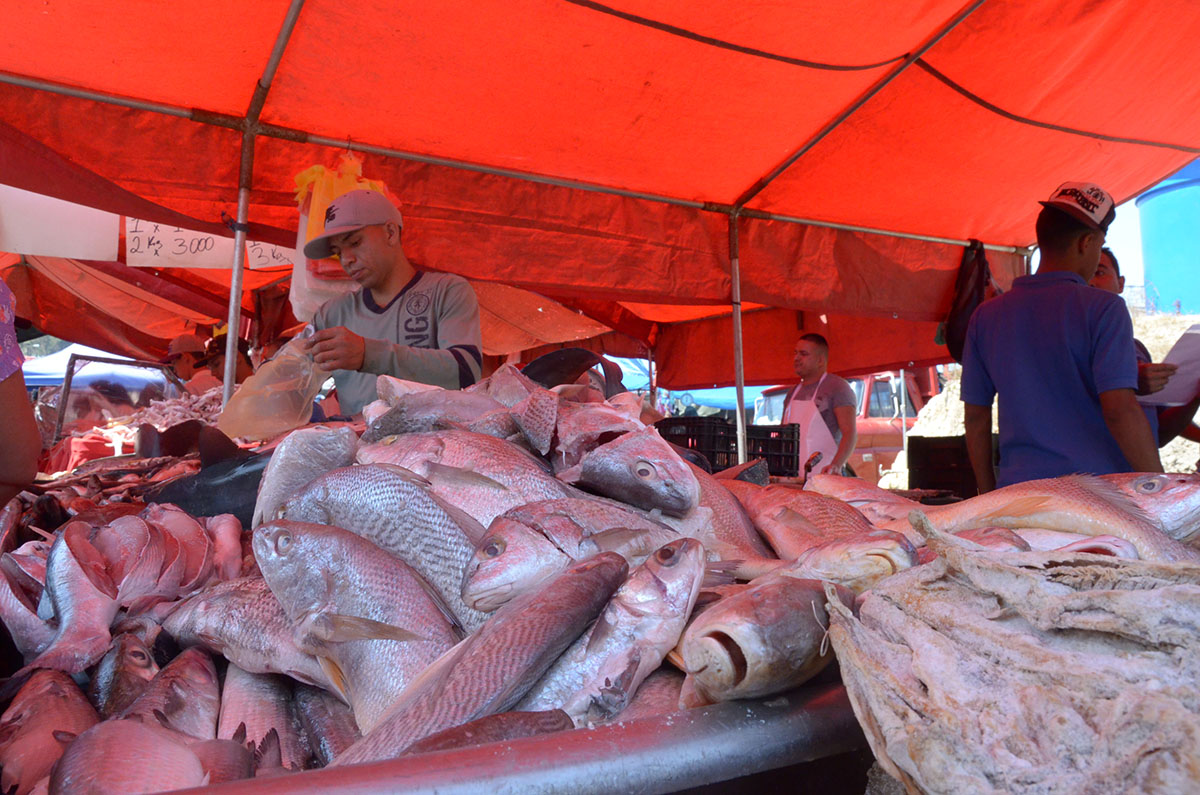 Alza del pescado congela  ventas hasta en 60%