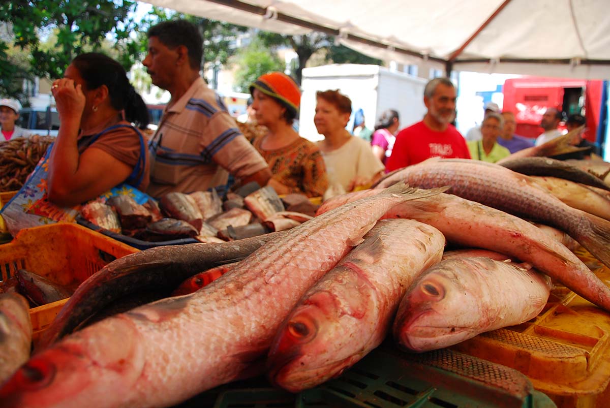 3 mil personas compraron pescado barato en Los Teques