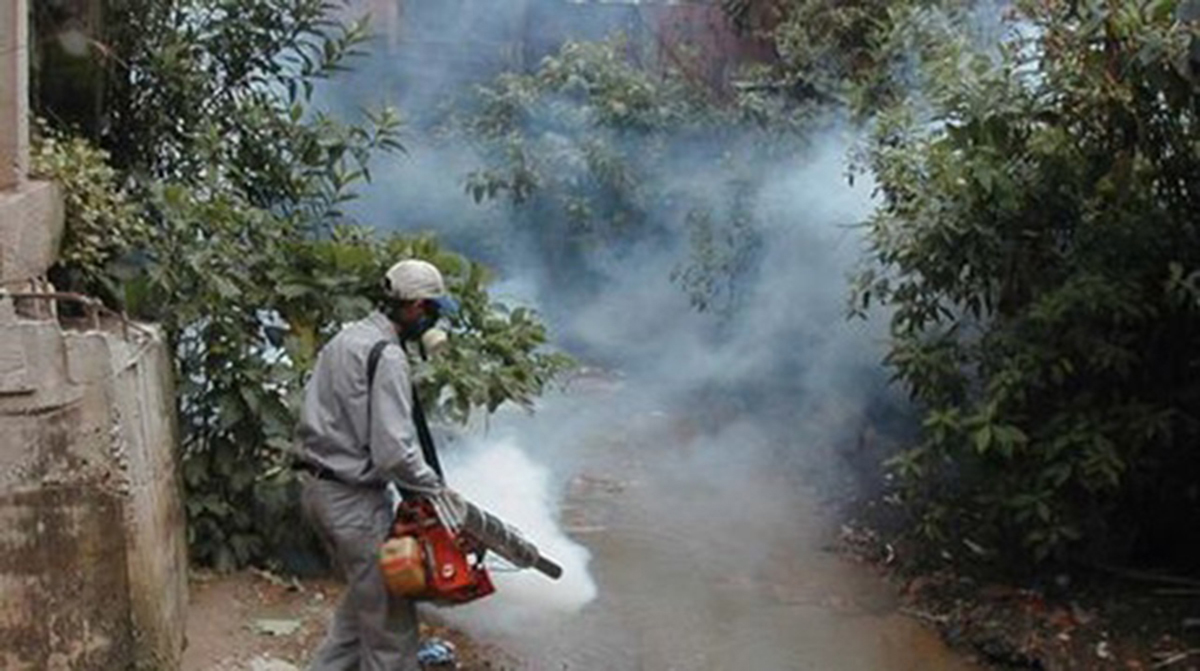 Organismos unen esfuerzos para erradicar el mosquito Aedes Aegypti