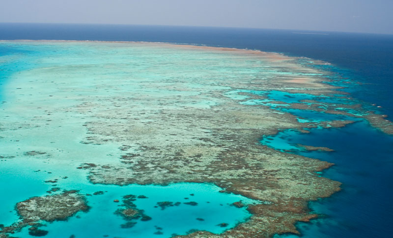 Gran Barrera de Coral sufre la peor crisis de su historia