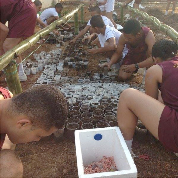 Estudiantes de la Esguarnac  se suman a planes de siembra