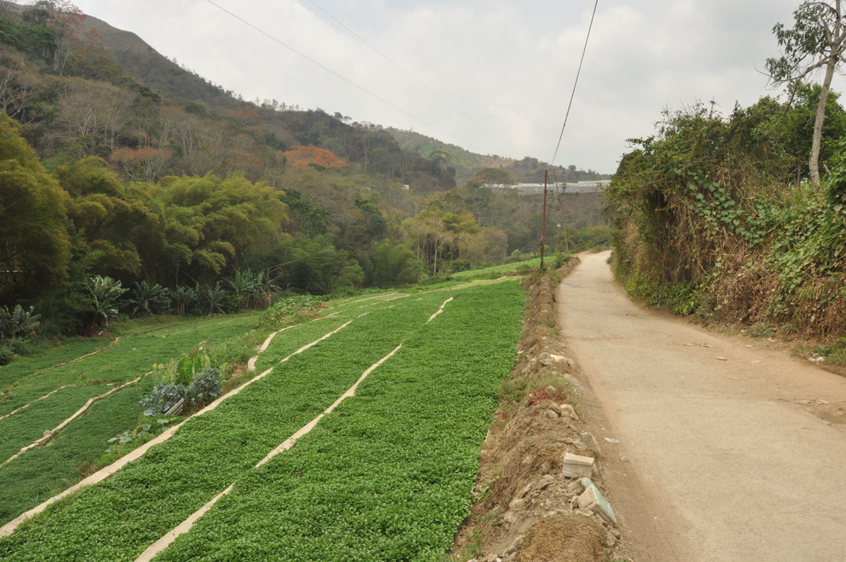 Tirotean a agricultores que se resistieron a secuestro