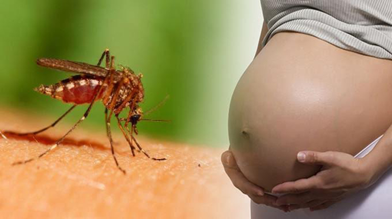 Salud Miranda alerta sobre segunda “epidemia” del virus Zika en el país