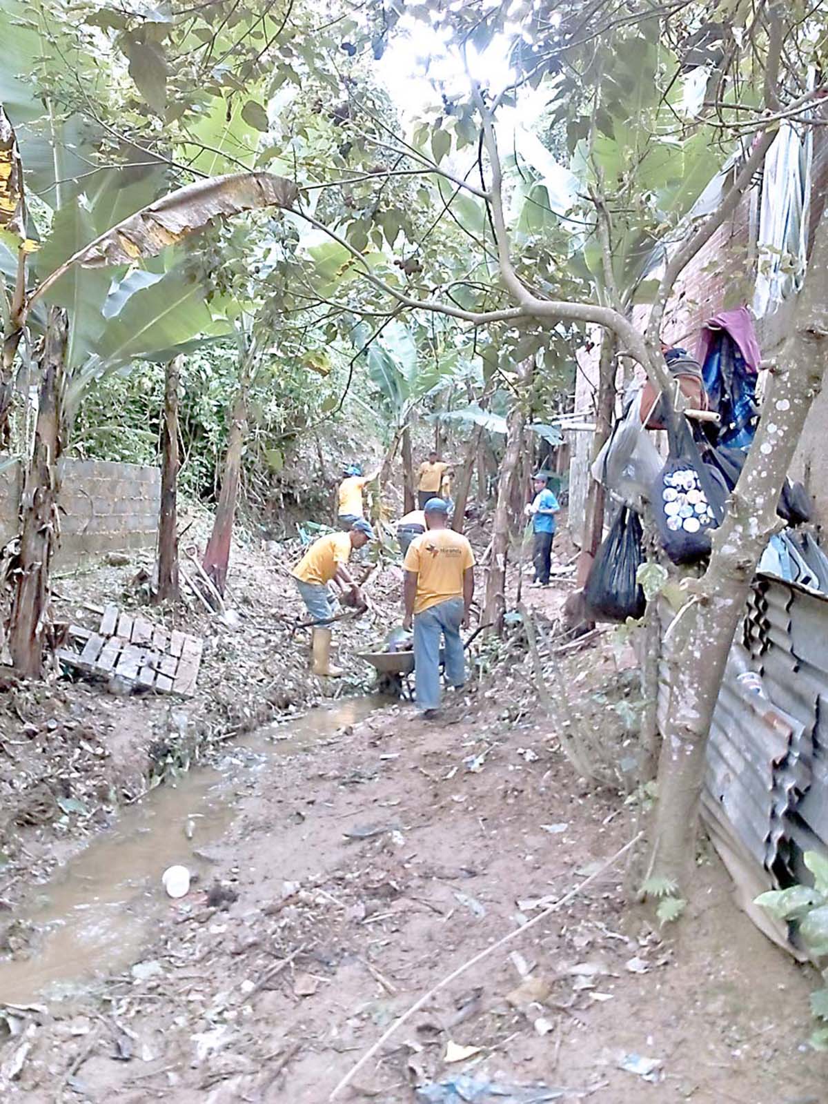 Limpian quebrada en El Alambique