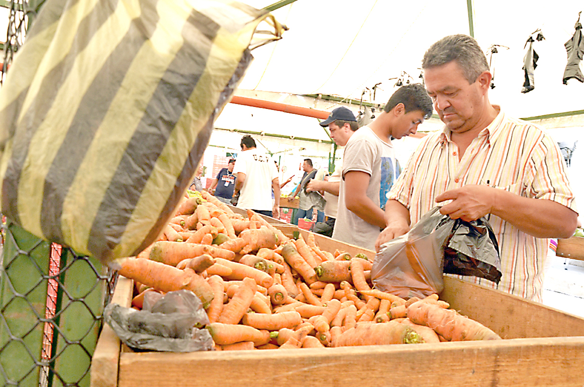 Llevaron 4 mil kilos de comida al IVIC