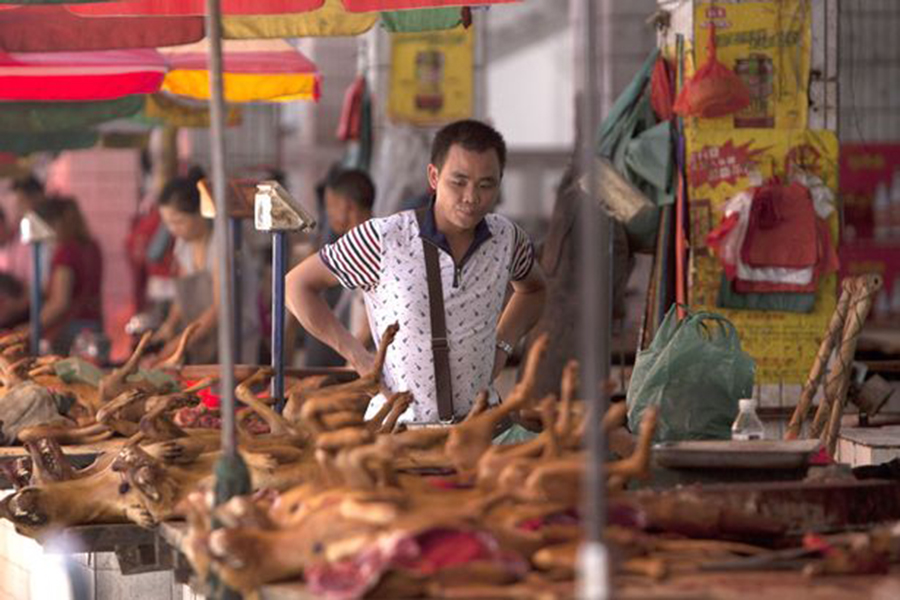 China celebra el festival Yulin sumido en polémica