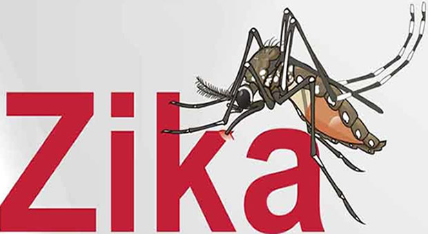 Casos de Zika han tenido tendencia por tres semanas consecutivas