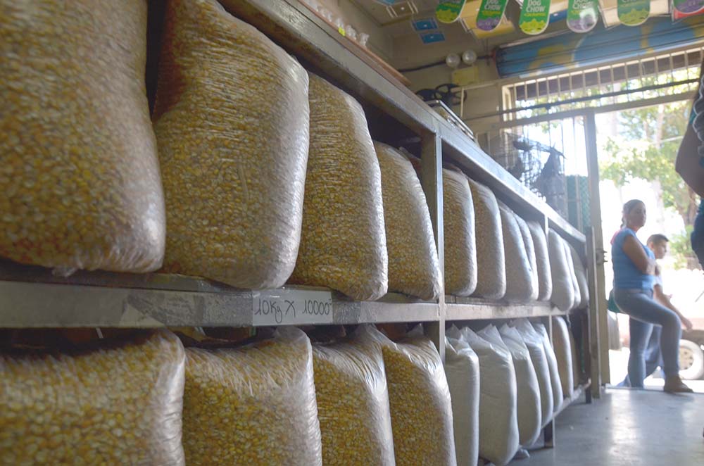 Advierten sobre venta de arroz no apto para el consumo humano