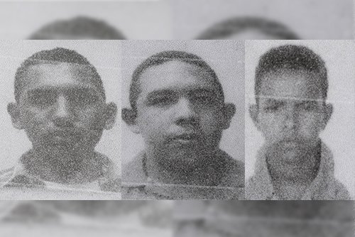 Ejecutan y arrojan en zona boscosa a cinco hombres en Puerto Maya