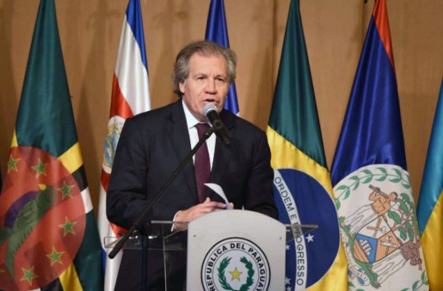 OEA reitera preocupación ante la marcha del 1 de septiembre