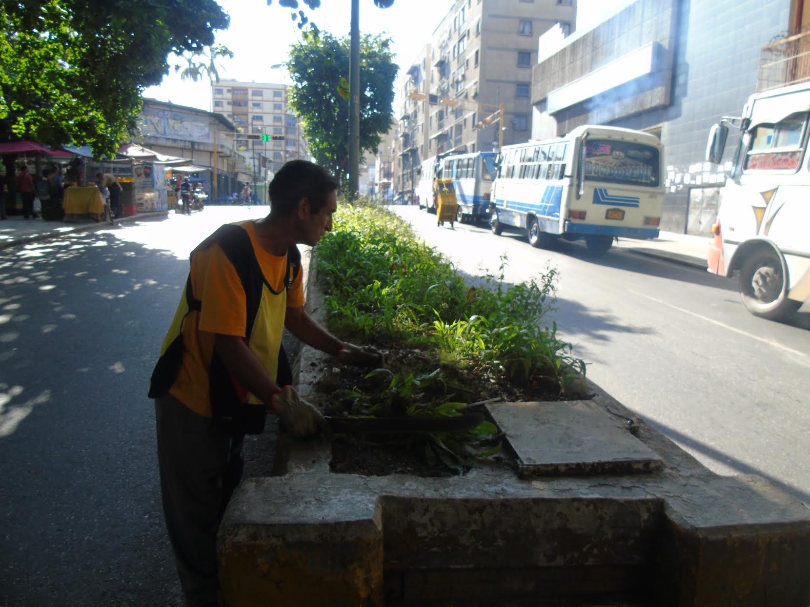 Fundación Los Teques limpia jardineras de avenida Independencia