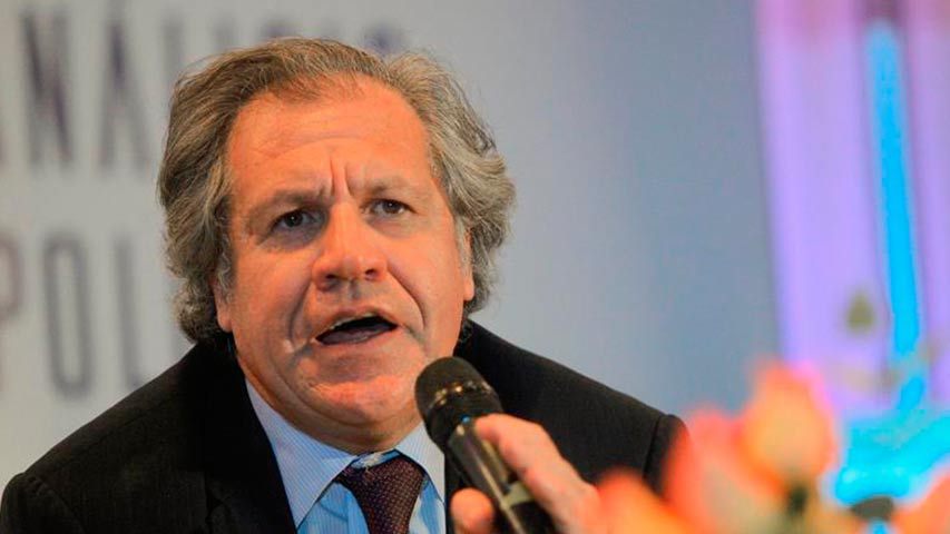 Almagro: CNE debe asegurar que 100% del padrón electoral pueda votar