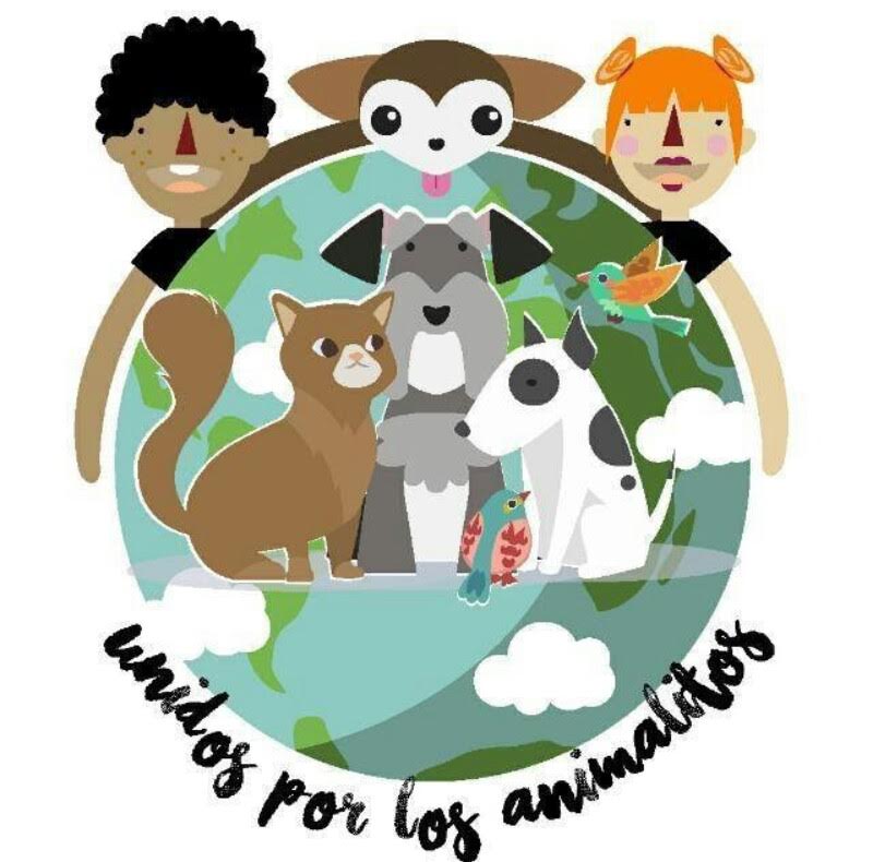 Invitan a jornada de esterilización de mascotas este martes