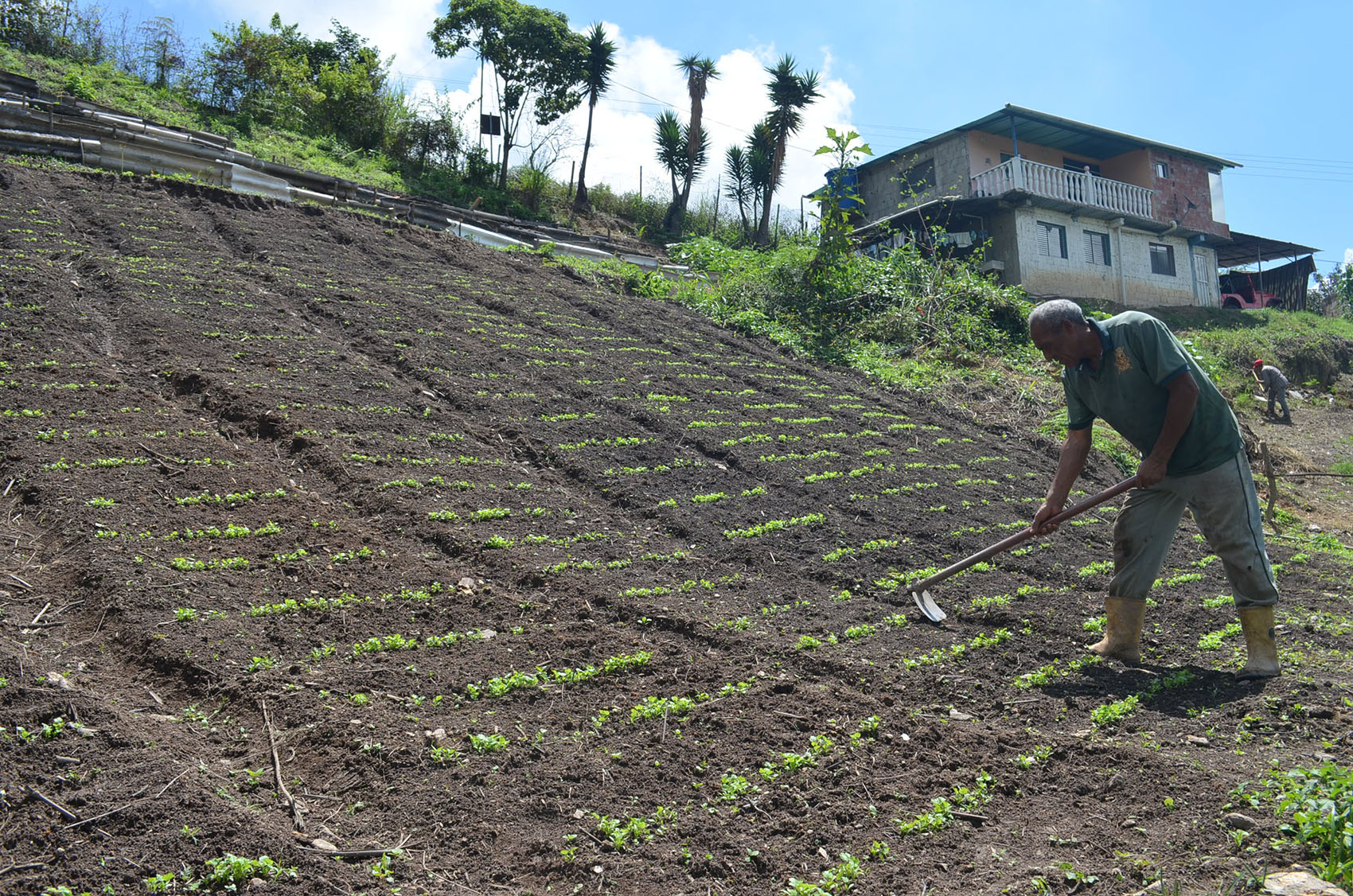 Agricultores de Altos del Carmen piden ayuda