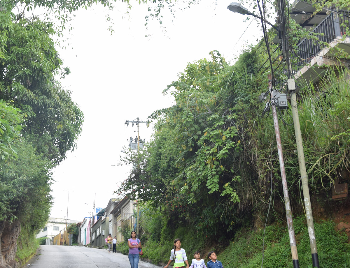 Luminarias inservibles en Barola