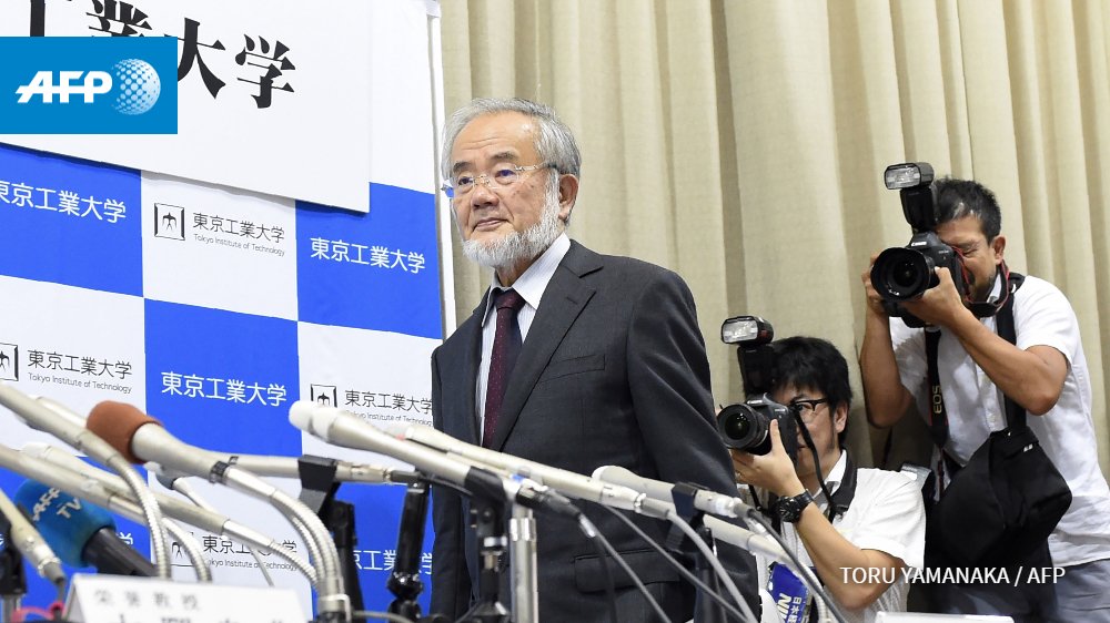 El japonés Yoshinori Ohsumi, premio #Nobel de #Medicina por sus investigaciones sobre la #autofagia
