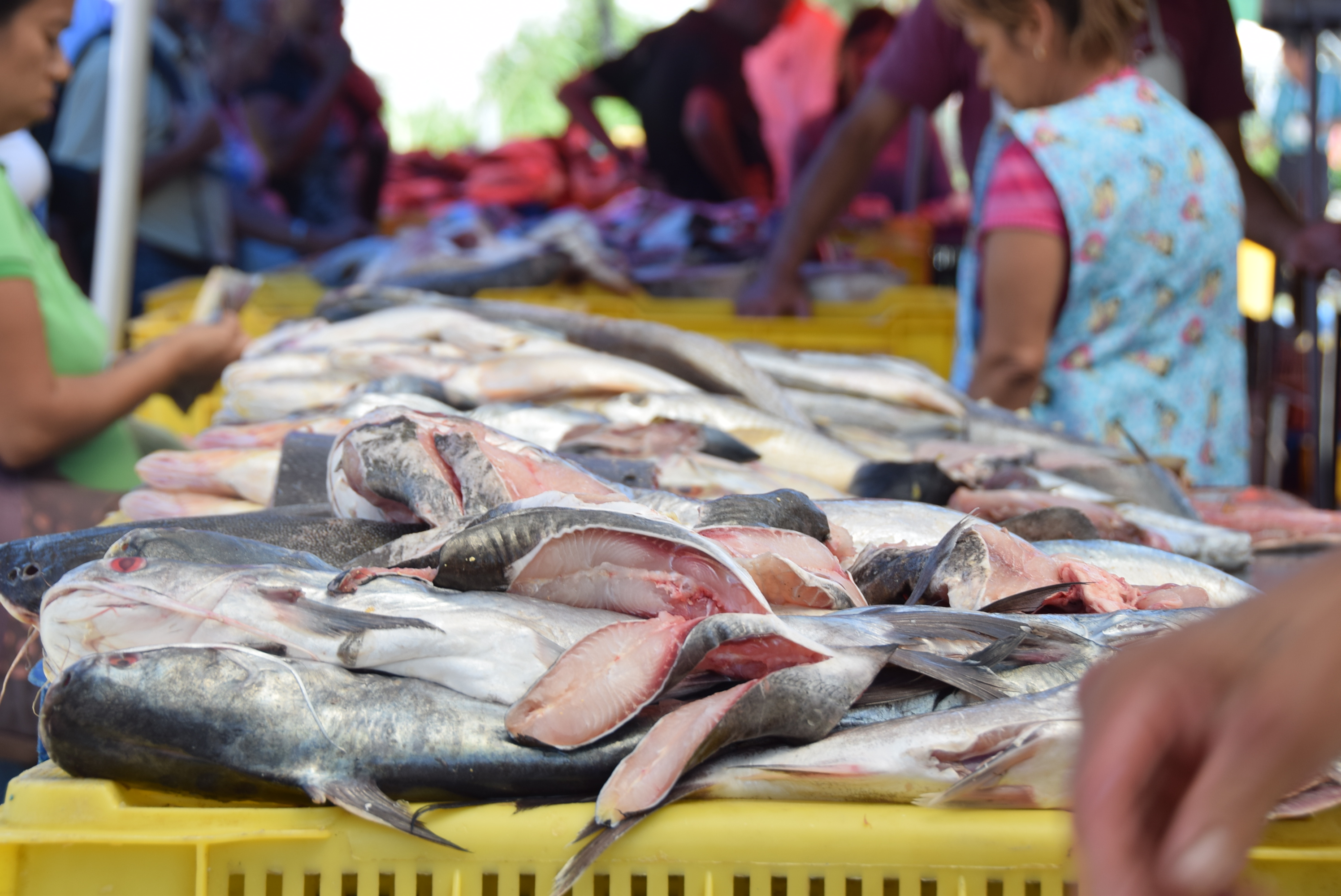 Ventas de pescado se mantienen pese a la crisis