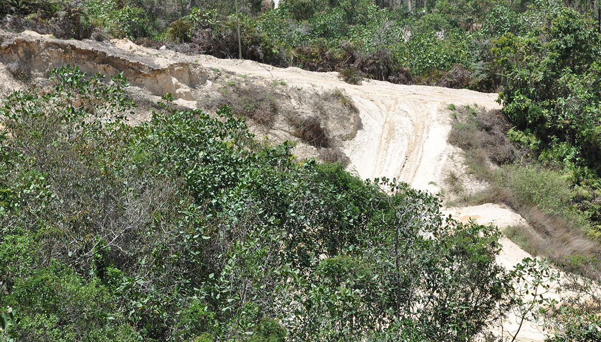 Advierten sobre nueva violación al PDUL de Carrizal