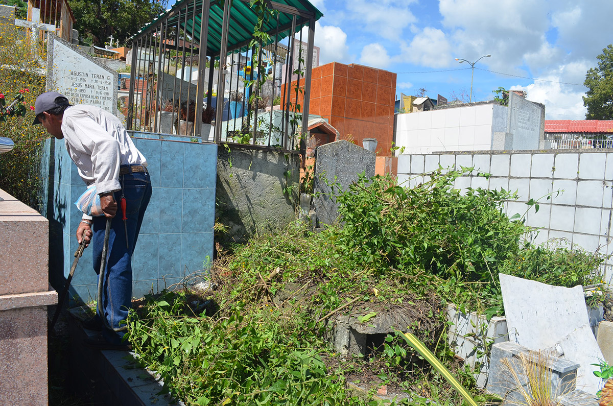 Viento en popa los mantenimientos del cementerio municipal