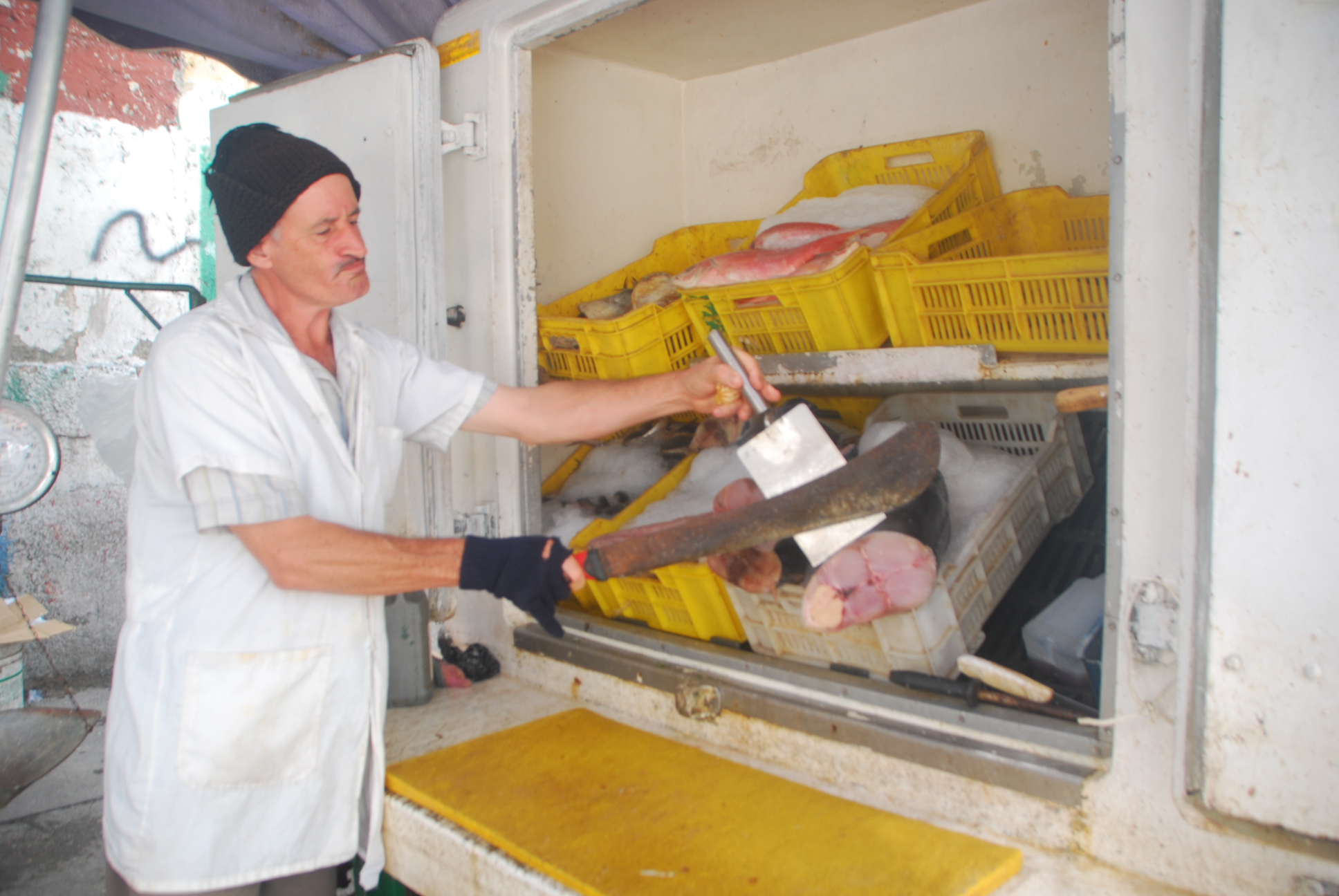 Comer pescado se ha vuelto un lujo