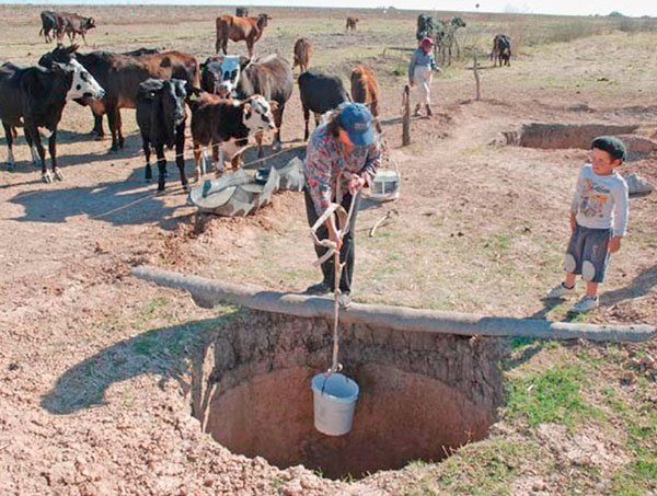 125 mil familias aisladas afectadas por la sequía en Bolivia