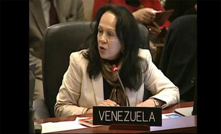 Delegación de Venezuela abandonó sesión de la OEA sobre el diálogo