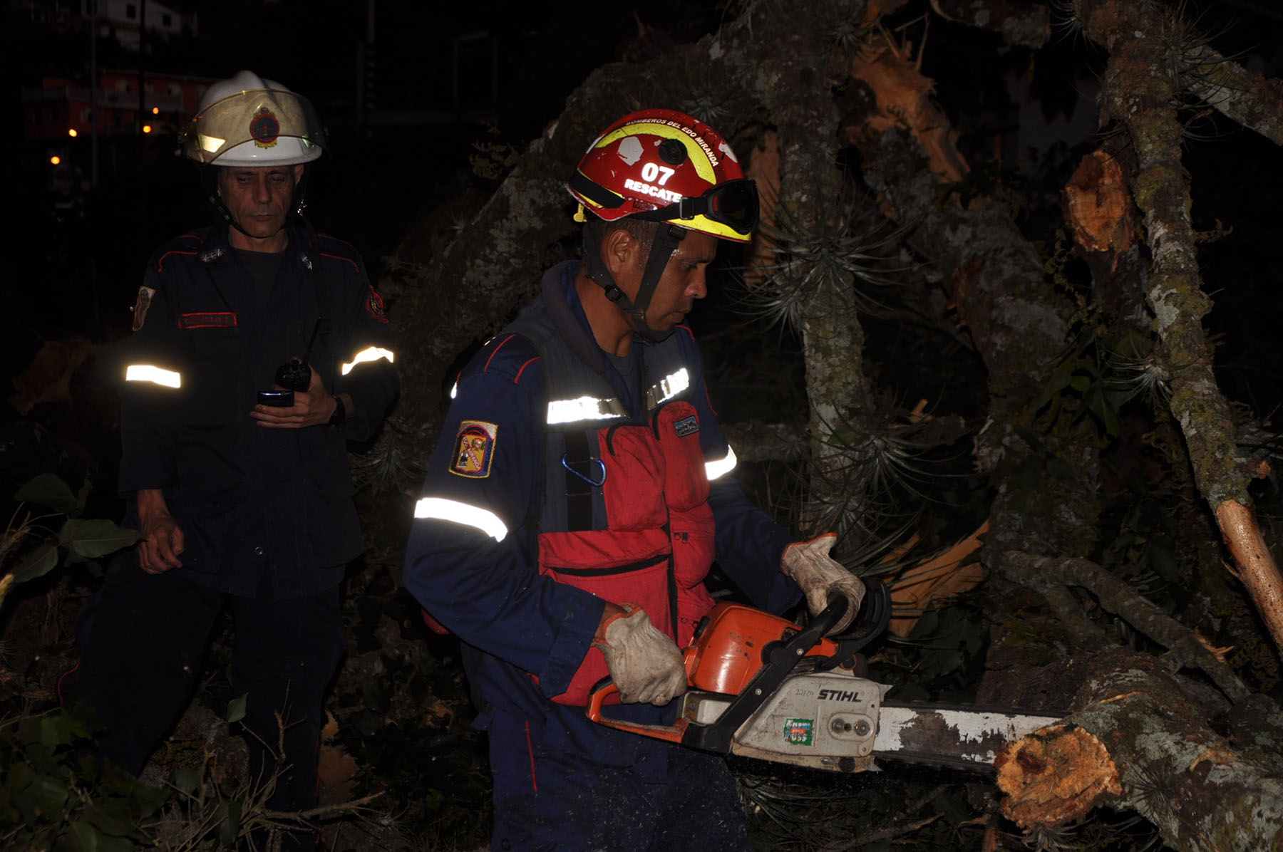 Caída de árbol causó tres heridos en Montañalta