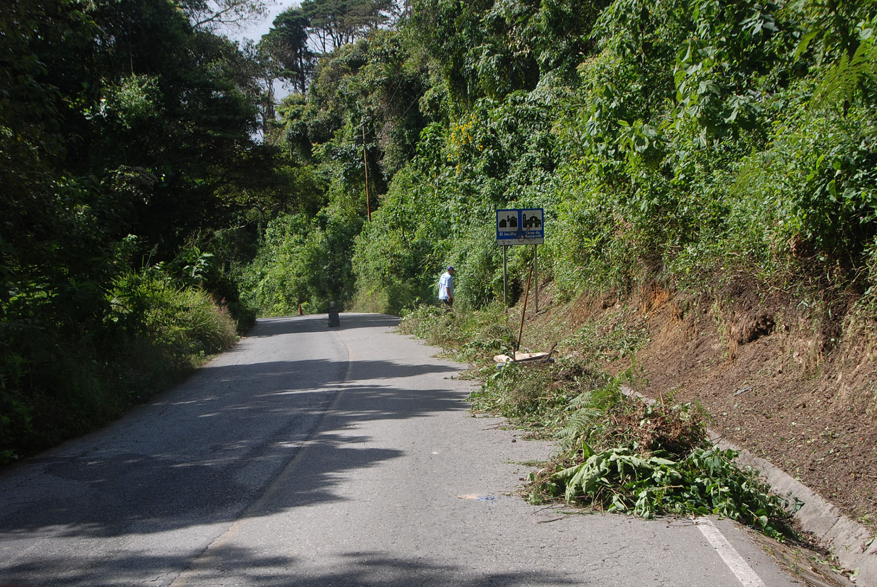 Vecinos de Pozo de Rosas desmalezan sus calles