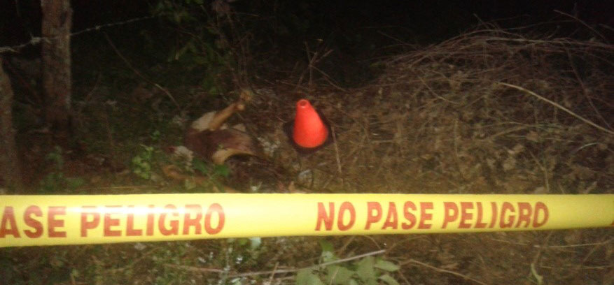 Mujer fue asesinada y devorada por animales