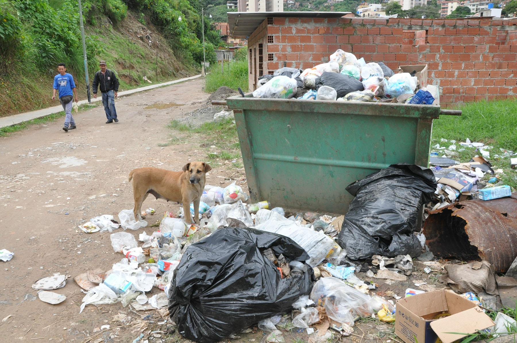 En La Mascota no saben qué hacer con la basura