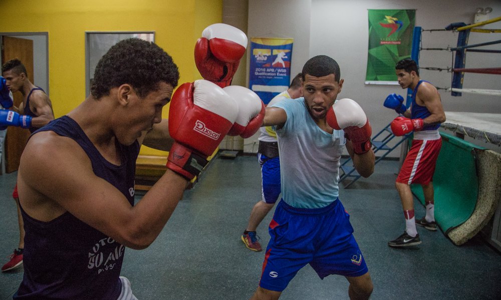 Puño a puño Caciques de Venezuela se alista para la Serie Mundial de Boxeo