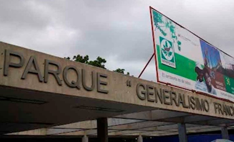Denuncian que felinos mueren de hambre en el Parque Generalísimo Francisco de Miranda