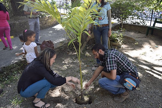 Donan 300 plantas al parque Los Coquitos