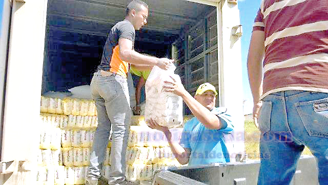 Matos: Se están produciendo 150 mil kilos diarios de harina