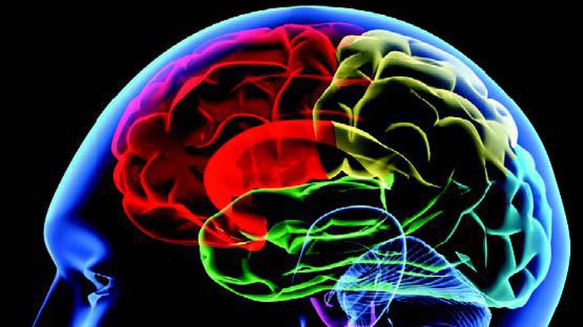Cuba, Canadá y China se unen para trazar el mapa del cerebro humano