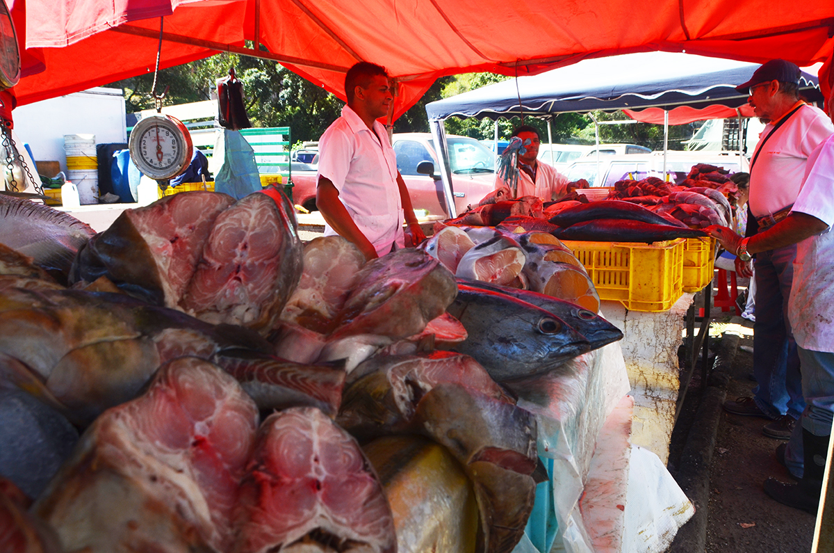 Comprar un kilo de pescado pega en el bolsillo