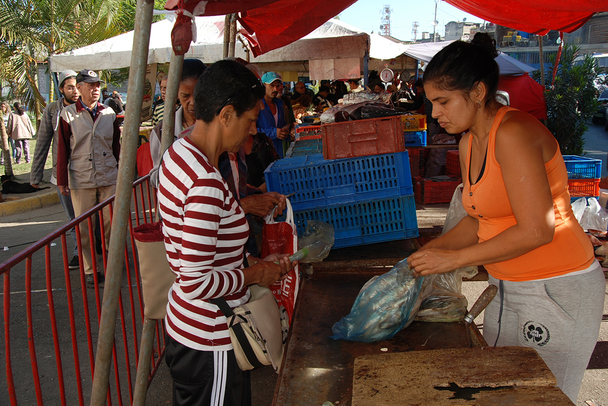 Venta de sardina sube más del 50%