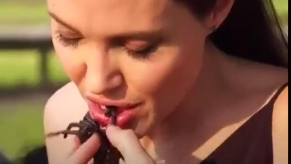 Angelina Jolie se atrevió a comer insectos junto a sus hijos +(Video)