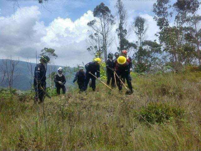 Bomberos de Miranda realizaron cortafuegos en Parque Nacional Macarao