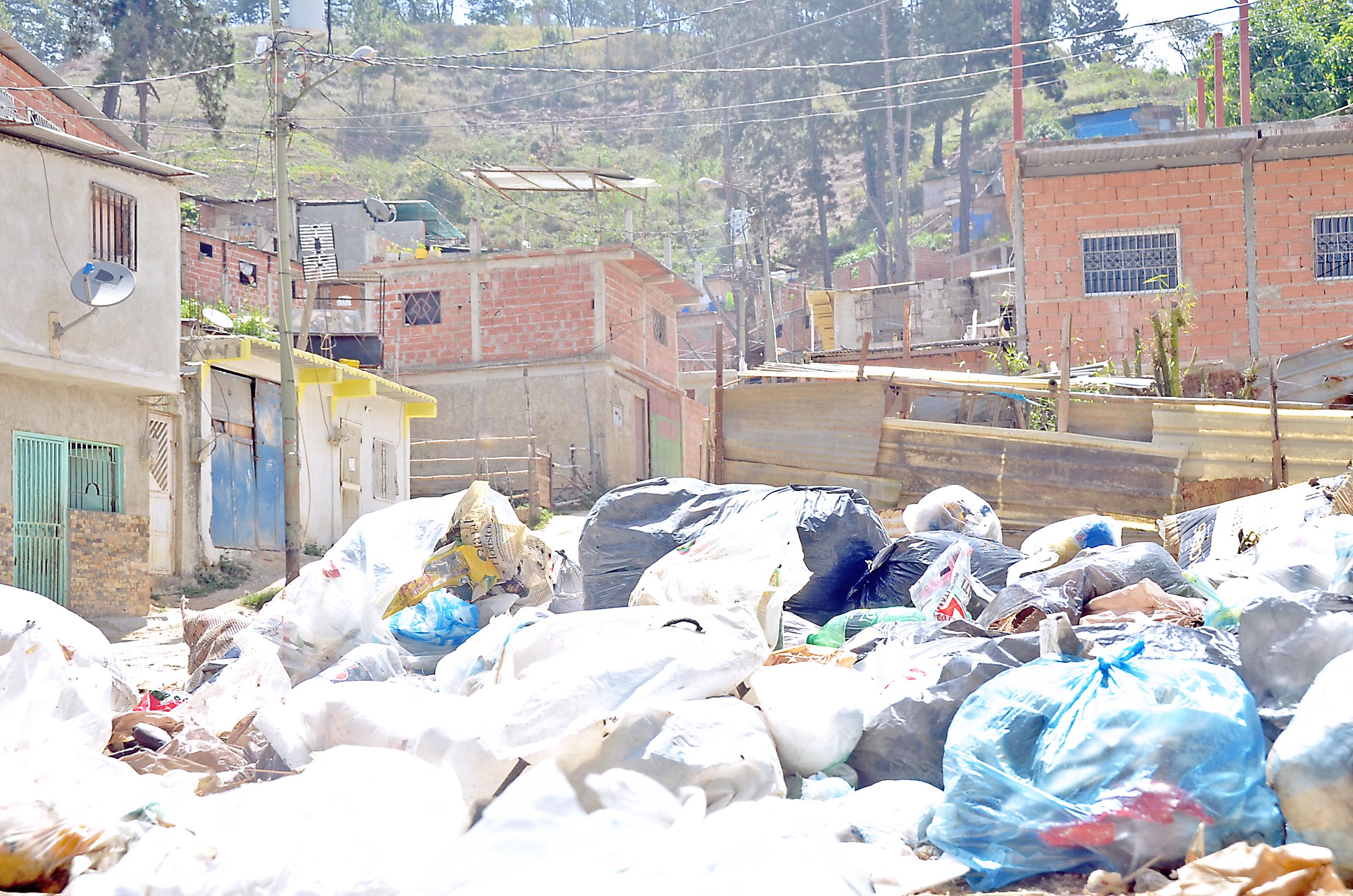 Vertedero improvisado genera contaminación en Los Pinos