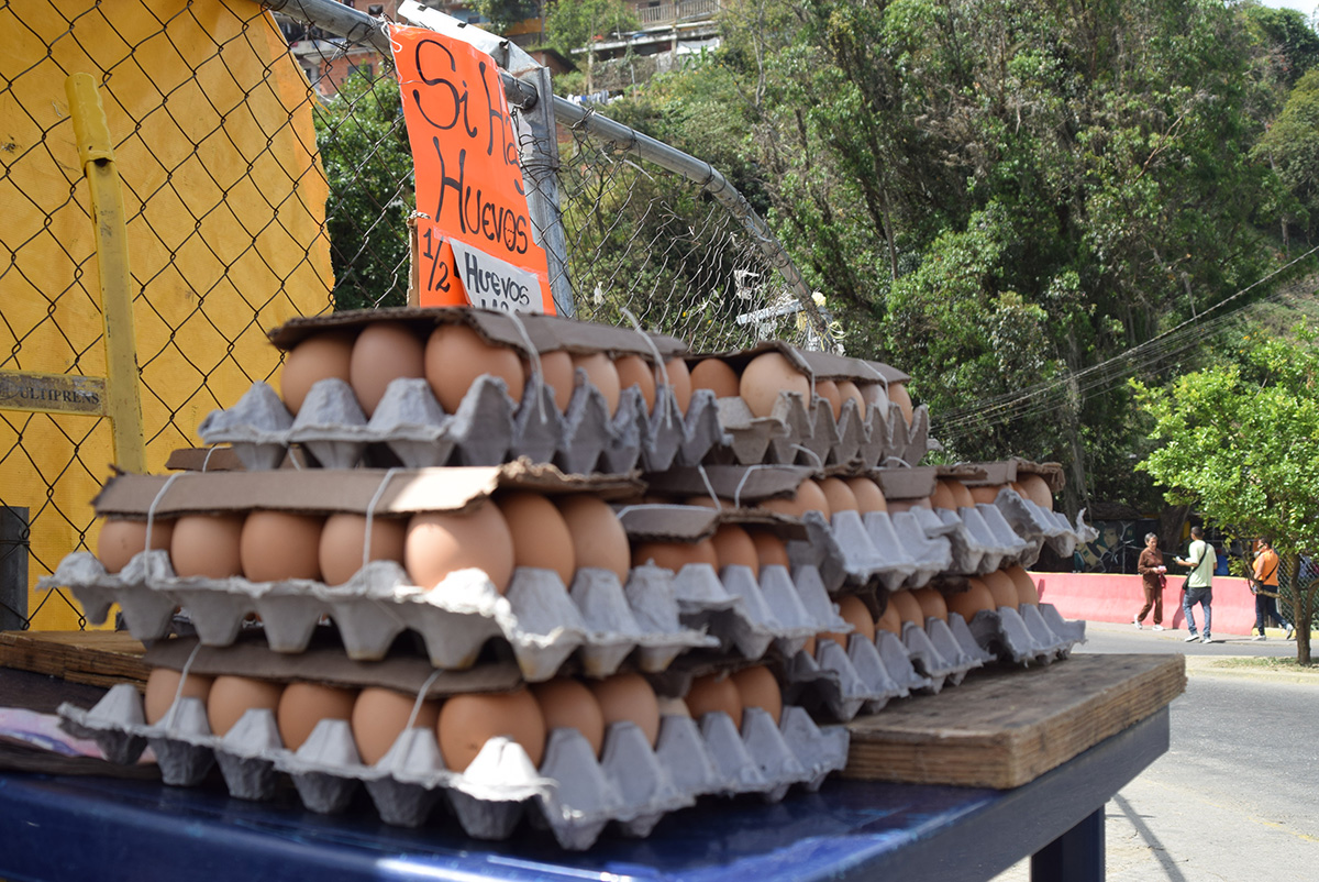 Precio del cartón de huevos  se acerca a los 10 mil bolos