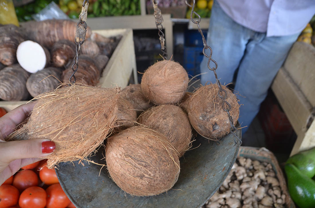 Flojo el expendio de coco  en espacios populares