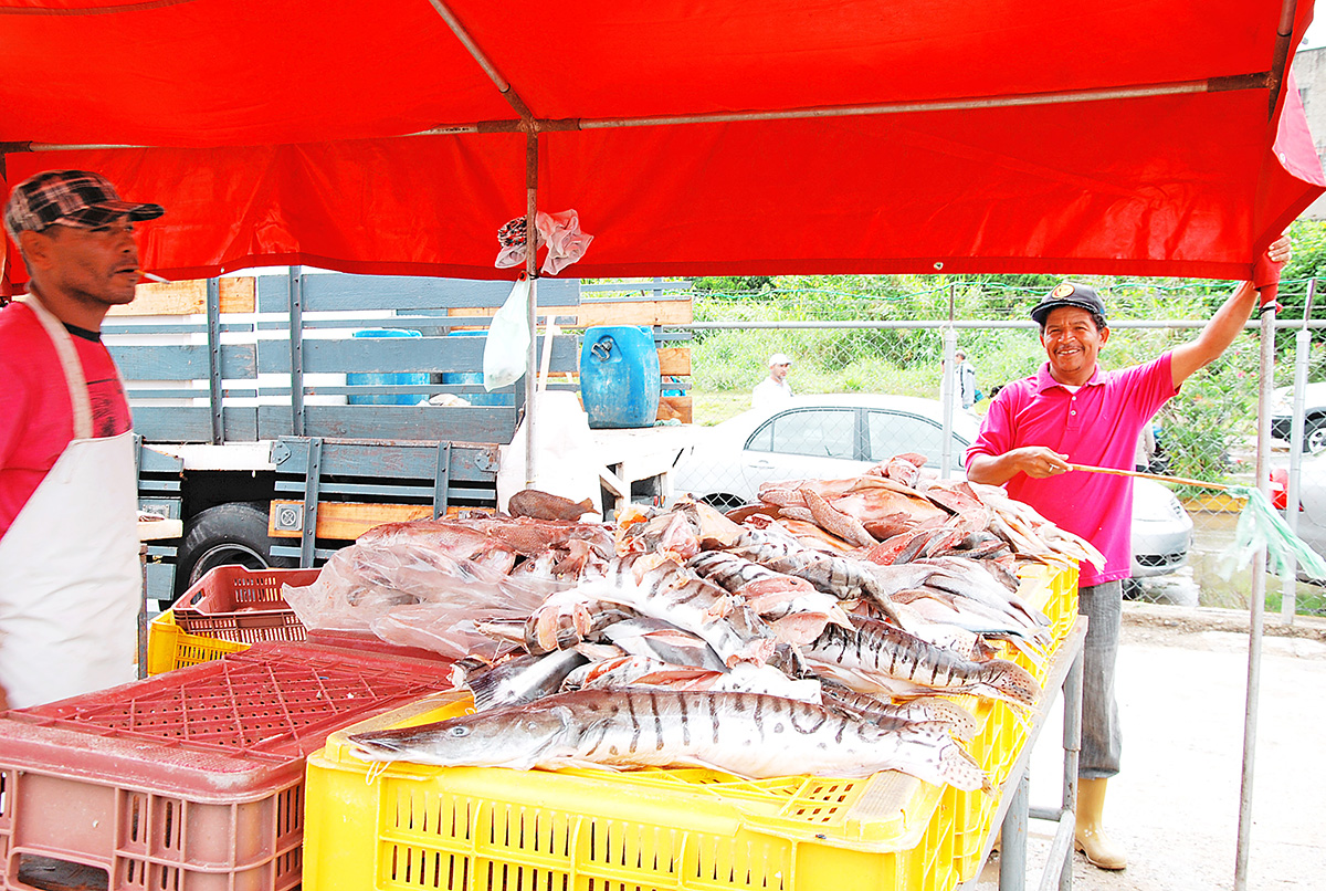 Ventas de pescado subieron un 20%