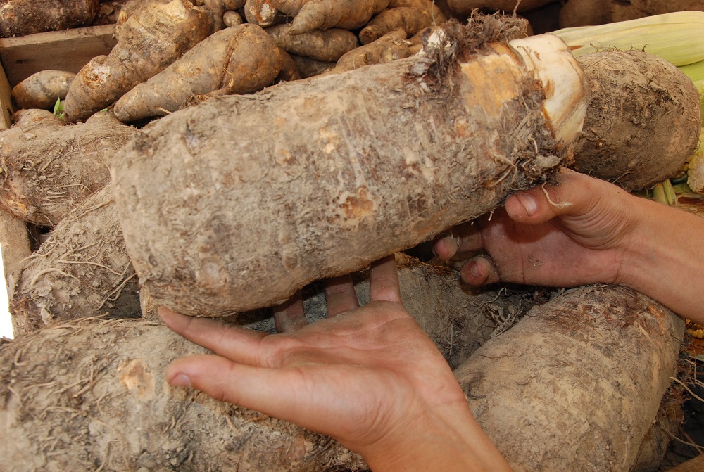 Denuncian restricción en venta de alimentos