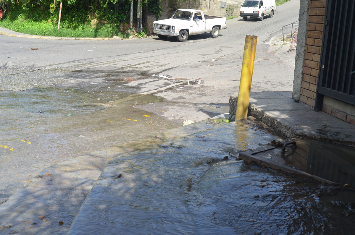 Aguas negras son un dolor de cabeza en Trigo Dorado