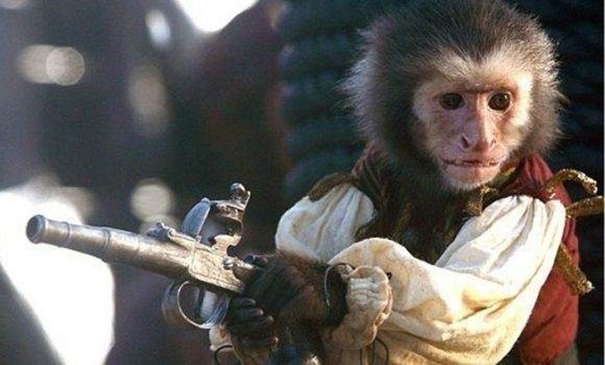 Actriz denunció maltrato animal durante rodaje de la nueva película de Piratas del Caribe